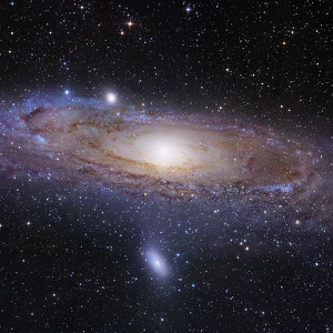 Fundraising Page: Todd Leader